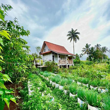 Pondok Is Oke Villa Scenic View Banyuwangi  Luaran gambar