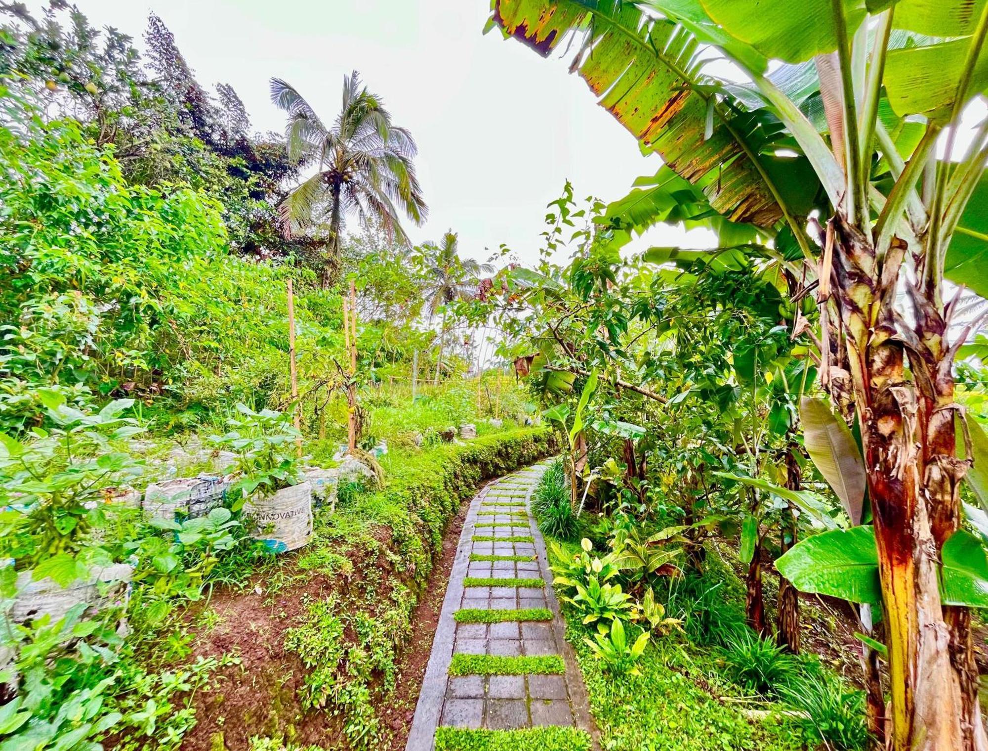 Pondok Is Oke Villa Scenic View Banyuwangi  Luaran gambar