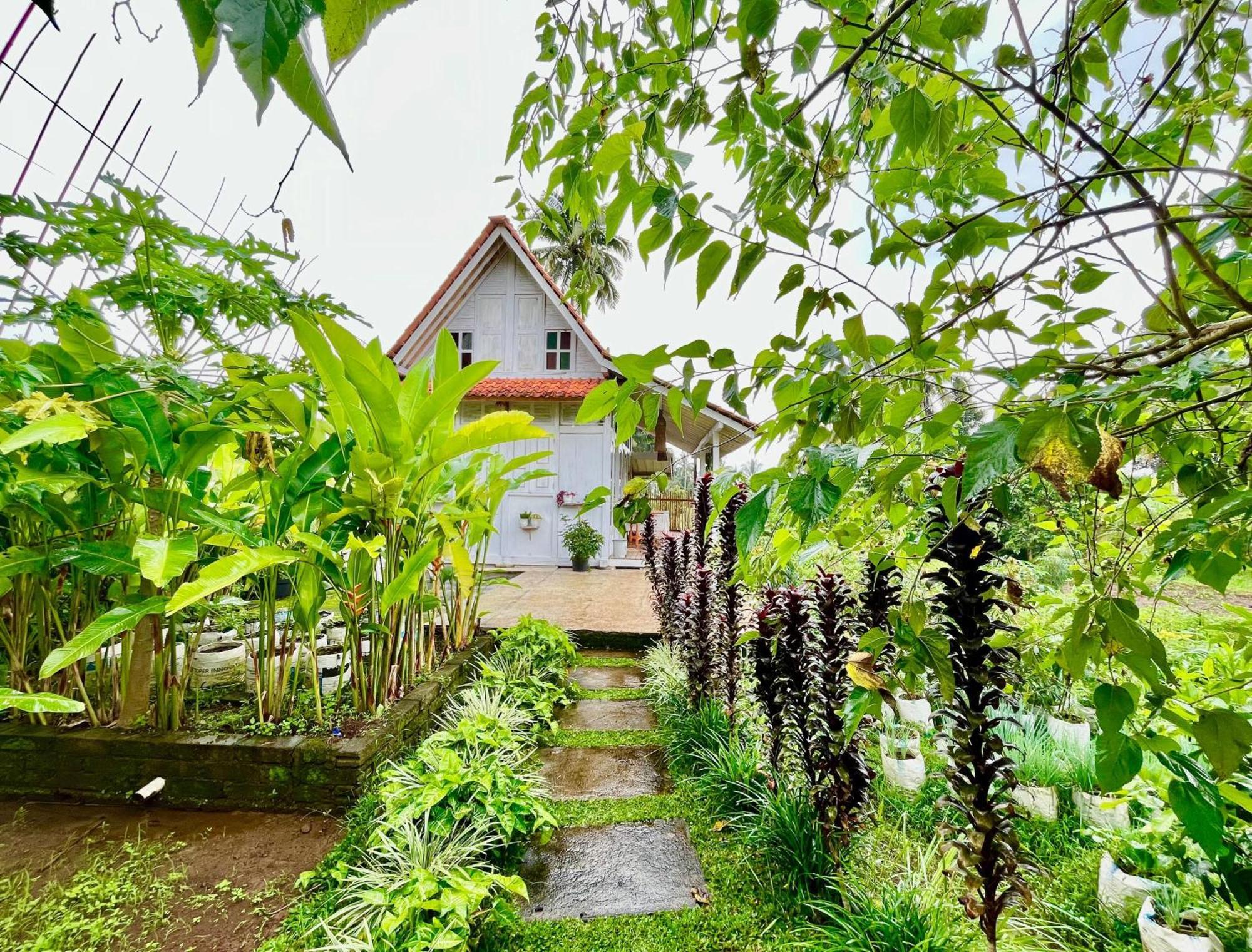 Pondok Is Oke Villa Scenic View Banyuwangi  Luaran gambar