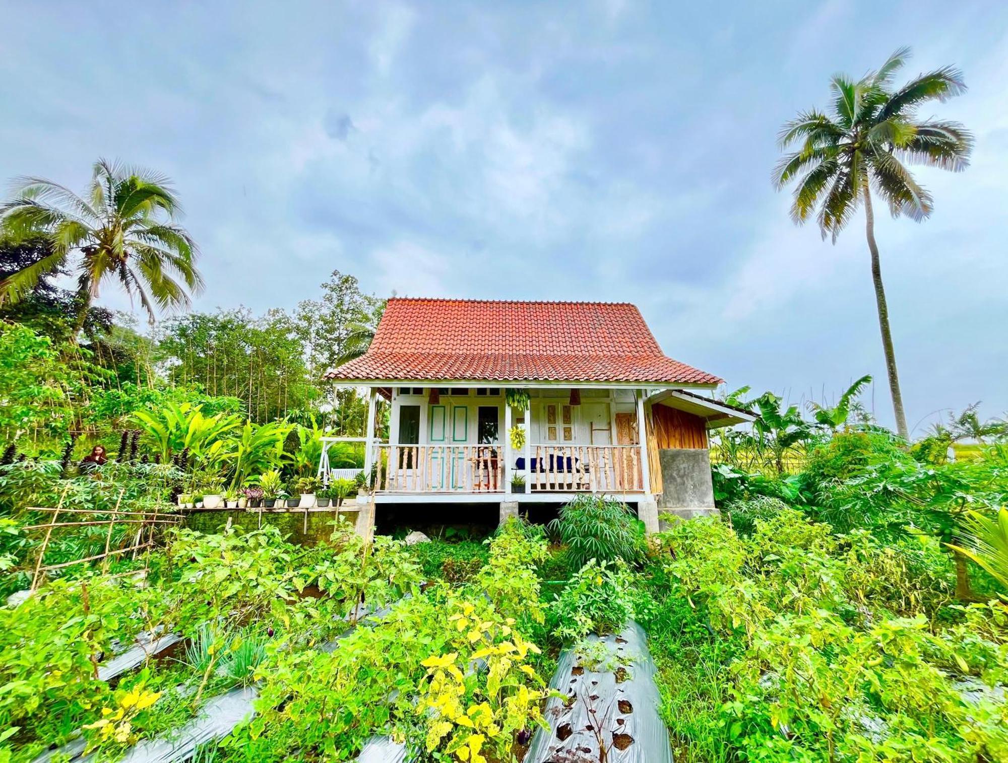 Pondok Is Oke Villa Scenic View Banyuwangi  Luaran gambar