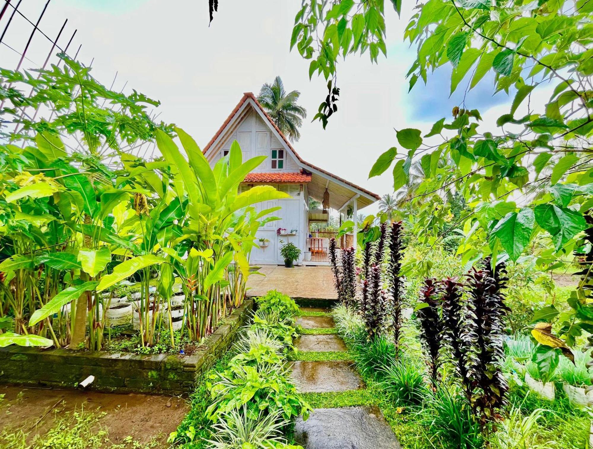 Pondok Is Oke Villa Scenic View Banyuwangi  Luaran gambar