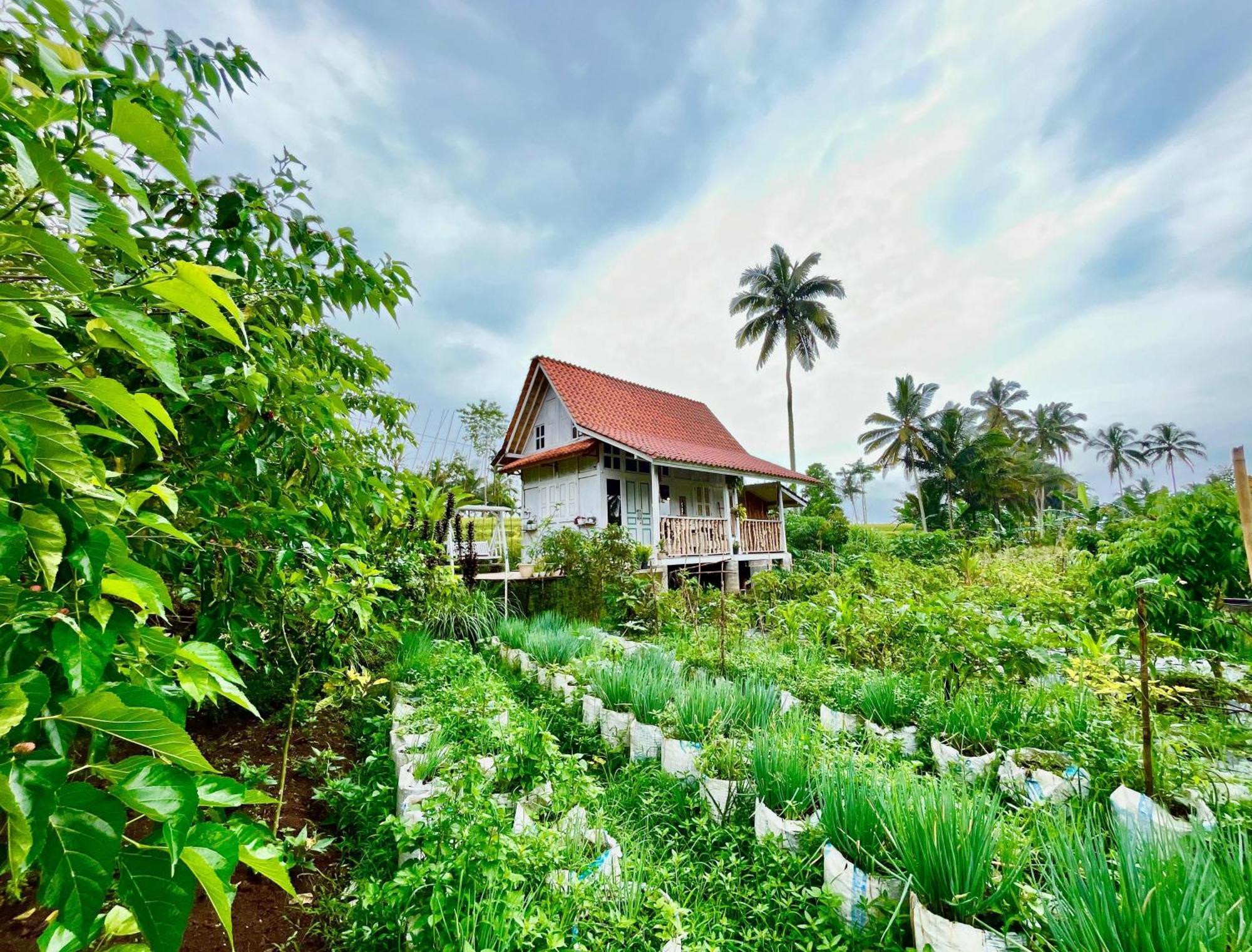 Pondok Is Oke Villa Scenic View Banyuwangi  Luaran gambar
