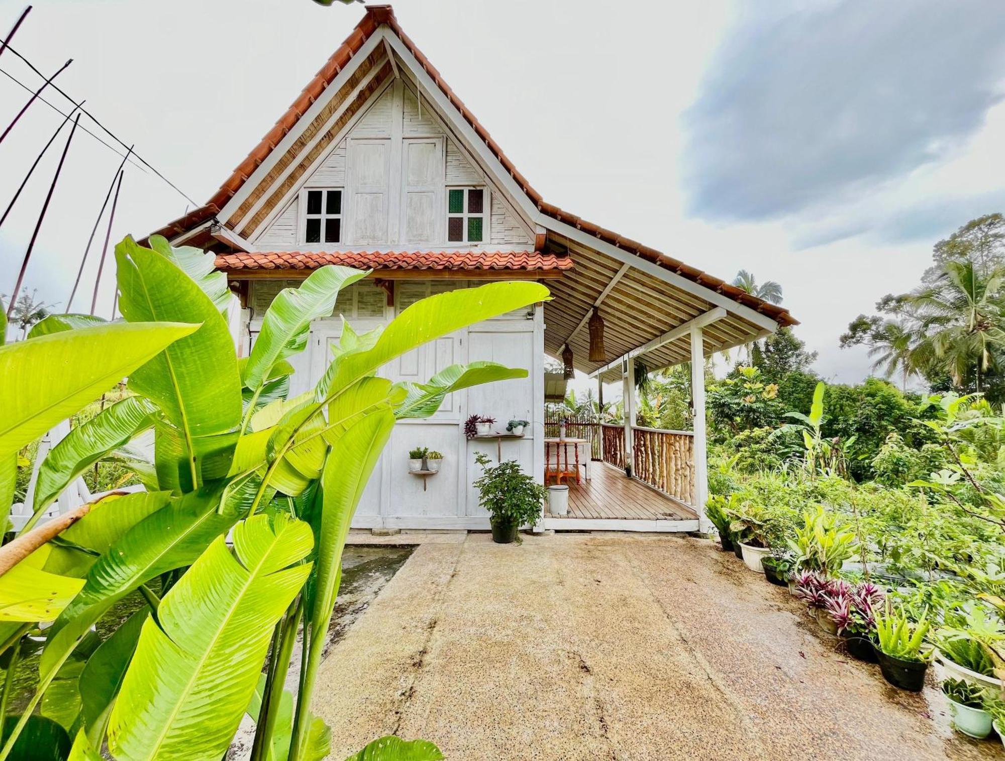 Pondok Is Oke Villa Scenic View Banyuwangi  Luaran gambar