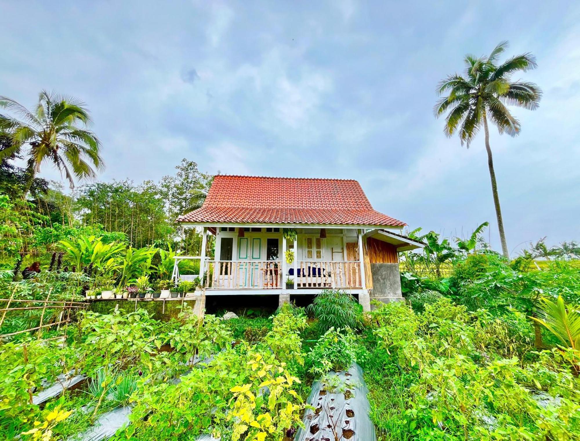 Pondok Is Oke Villa Scenic View Banyuwangi  Luaran gambar
