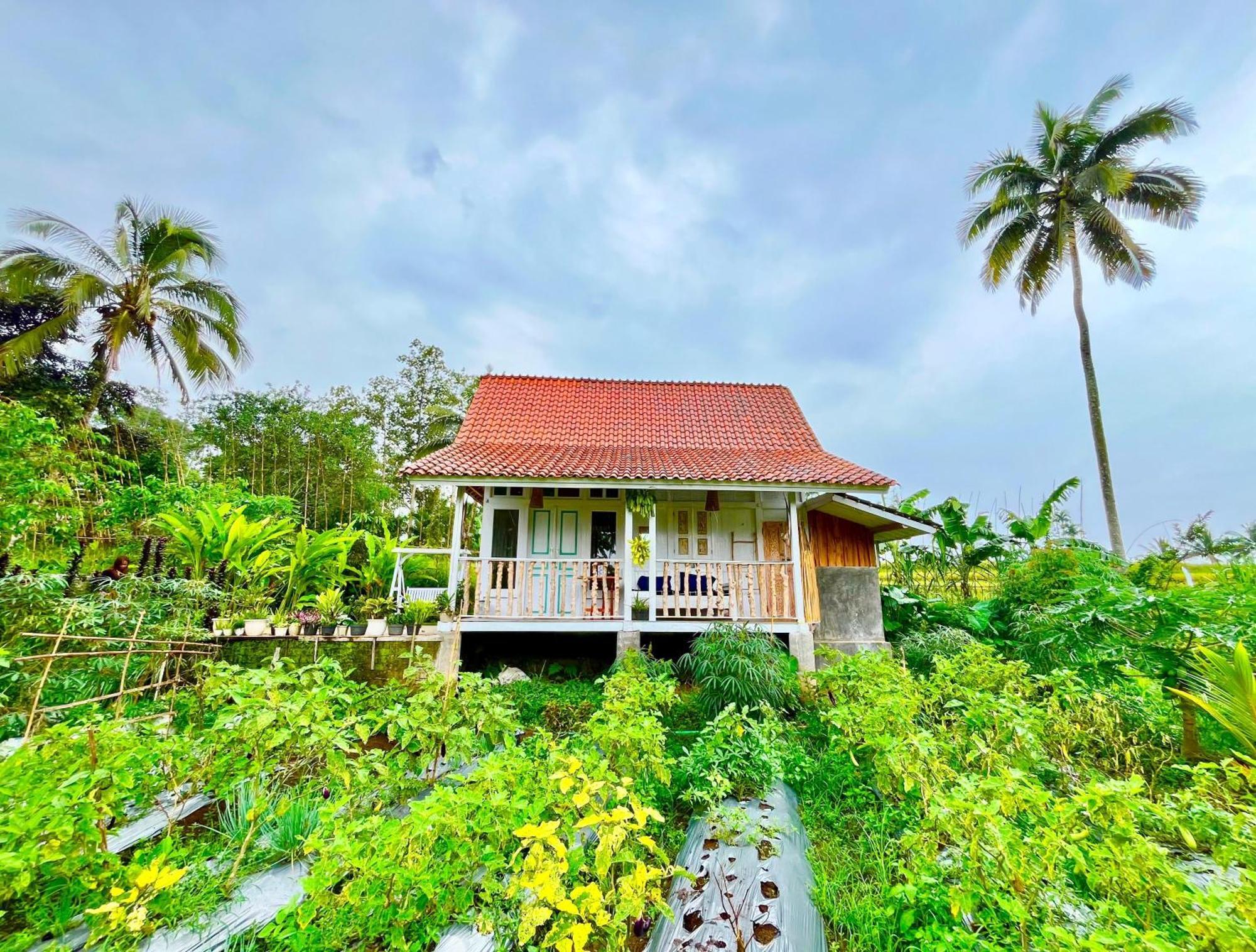 Pondok Is Oke Villa Scenic View Banyuwangi  Luaran gambar