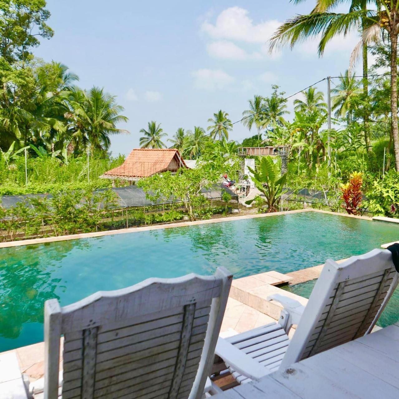 Pondok Is Oke Villa Scenic View Banyuwangi  Luaran gambar