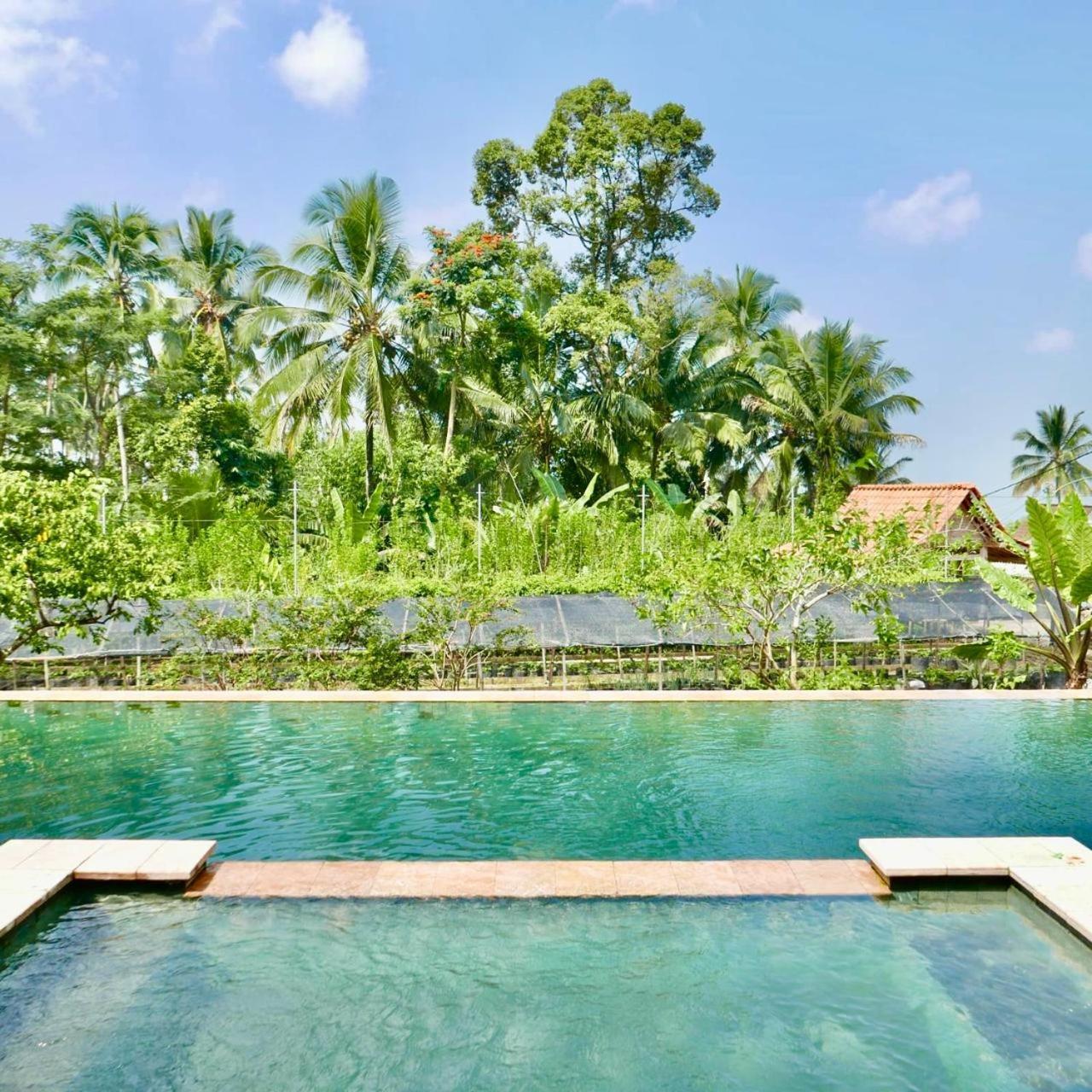 Pondok Is Oke Villa Scenic View Banyuwangi  Luaran gambar
