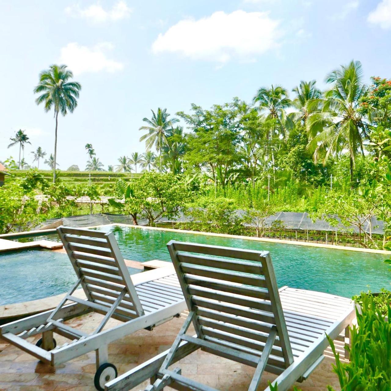 Pondok Is Oke Villa Scenic View Banyuwangi  Luaran gambar