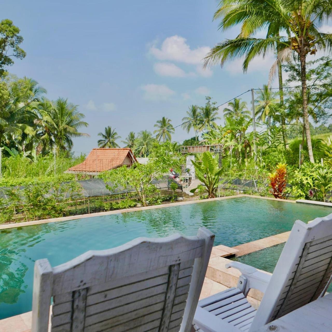 Pondok Is Oke Villa Scenic View Banyuwangi  Luaran gambar