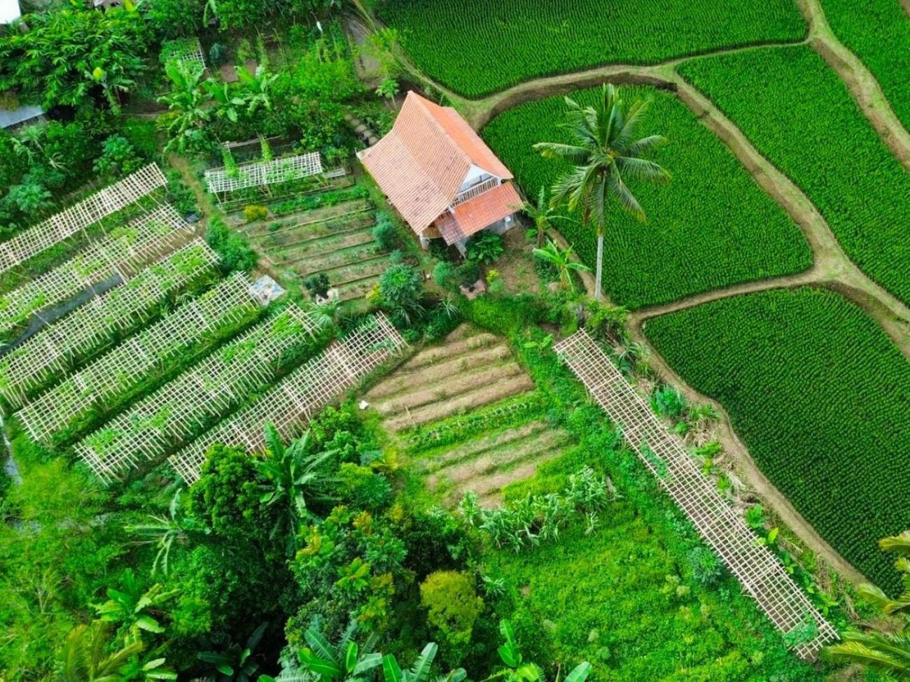 Pondok Is Oke Villa Scenic View Banyuwangi  Luaran gambar