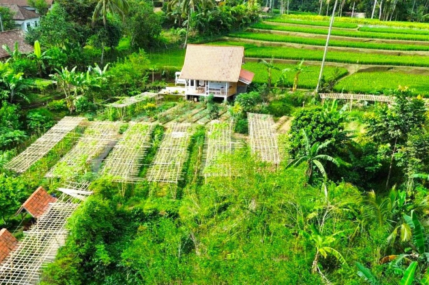 Pondok Is Oke Villa Scenic View Banyuwangi  Luaran gambar