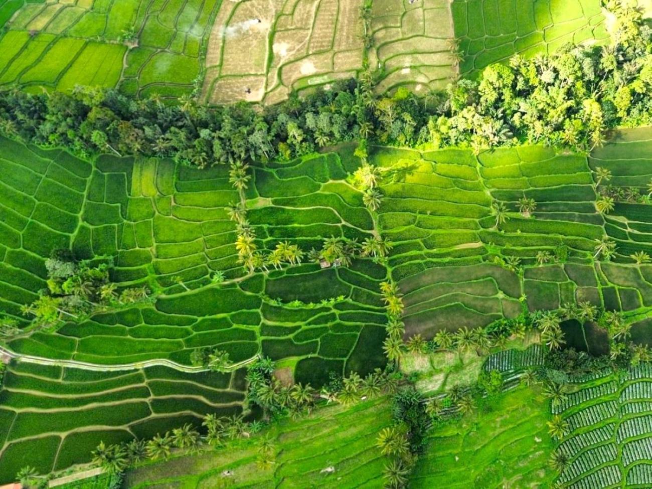 Pondok Is Oke Villa Scenic View Banyuwangi  Luaran gambar