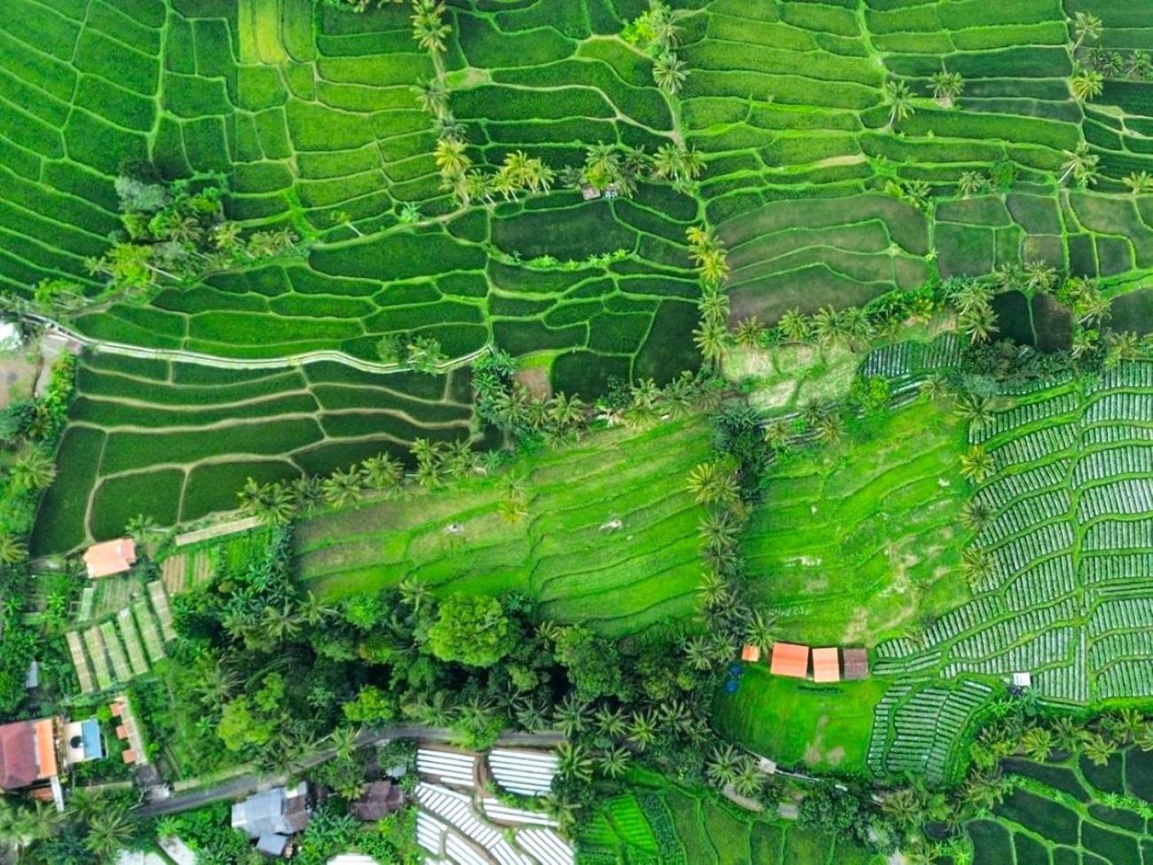 Pondok Is Oke Villa Scenic View Banyuwangi  Luaran gambar