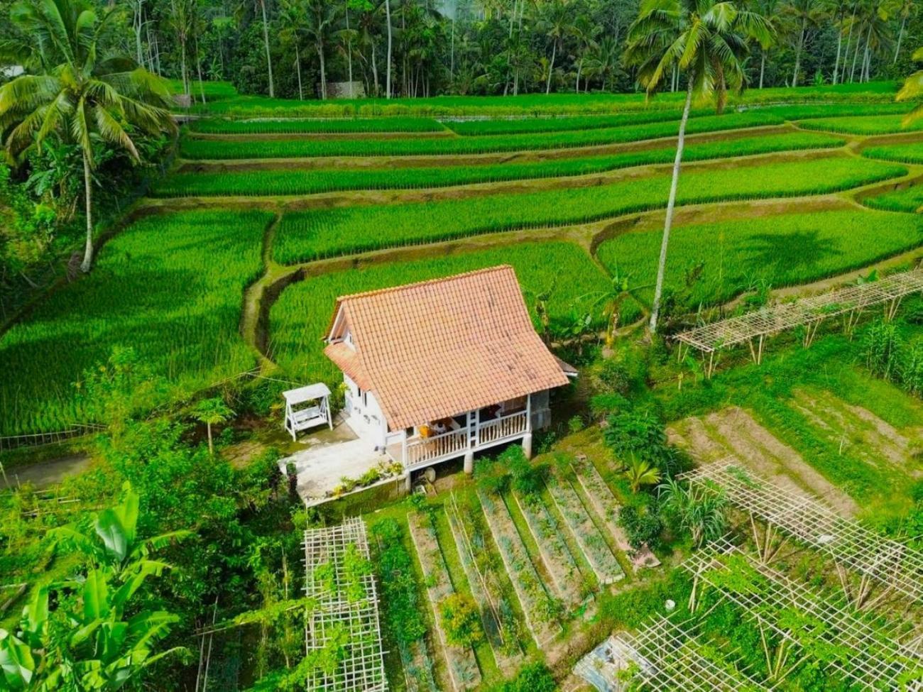 Pondok Is Oke Villa Scenic View Banyuwangi  Luaran gambar