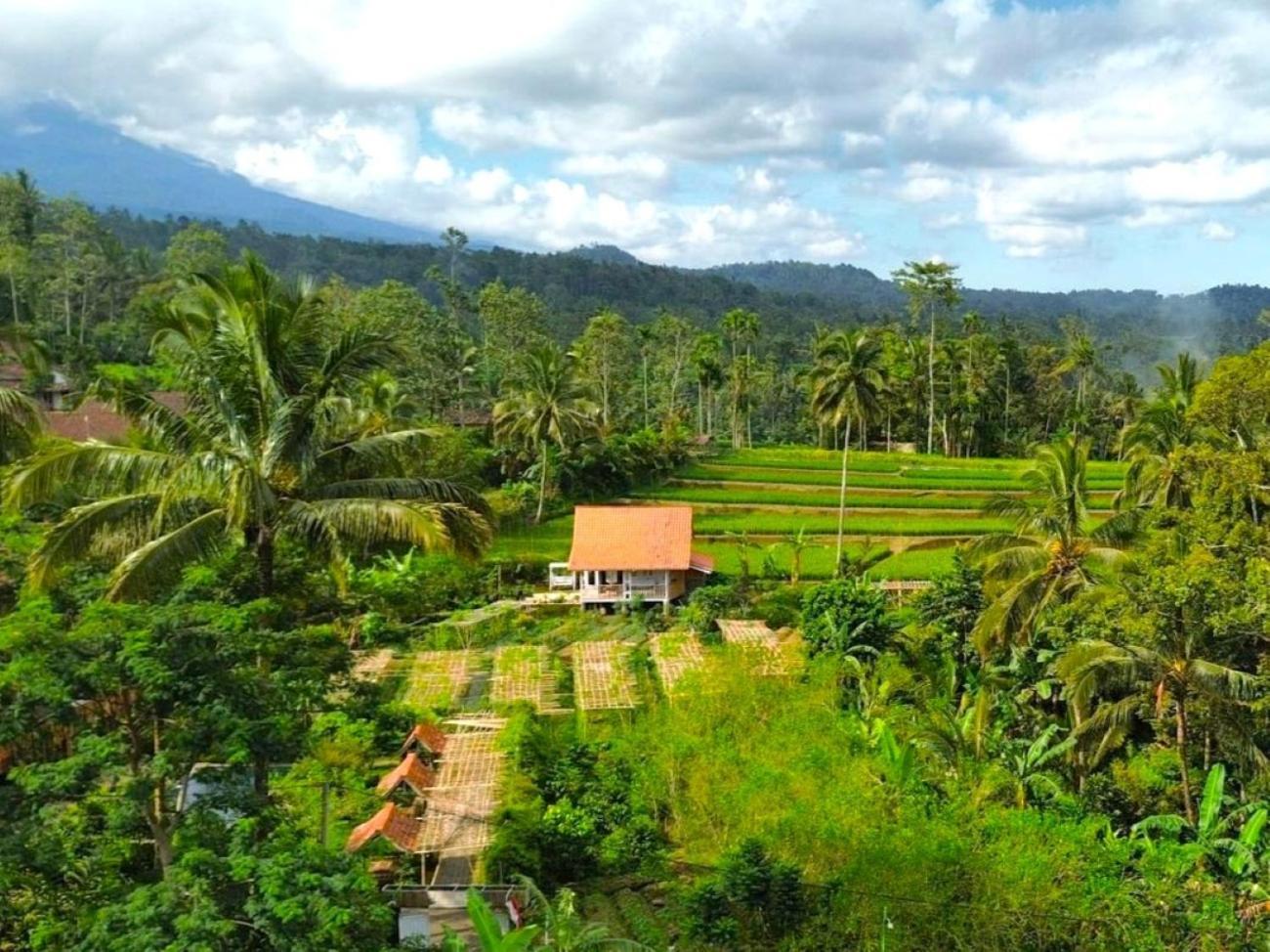 Pondok Is Oke Villa Scenic View Banyuwangi  Luaran gambar