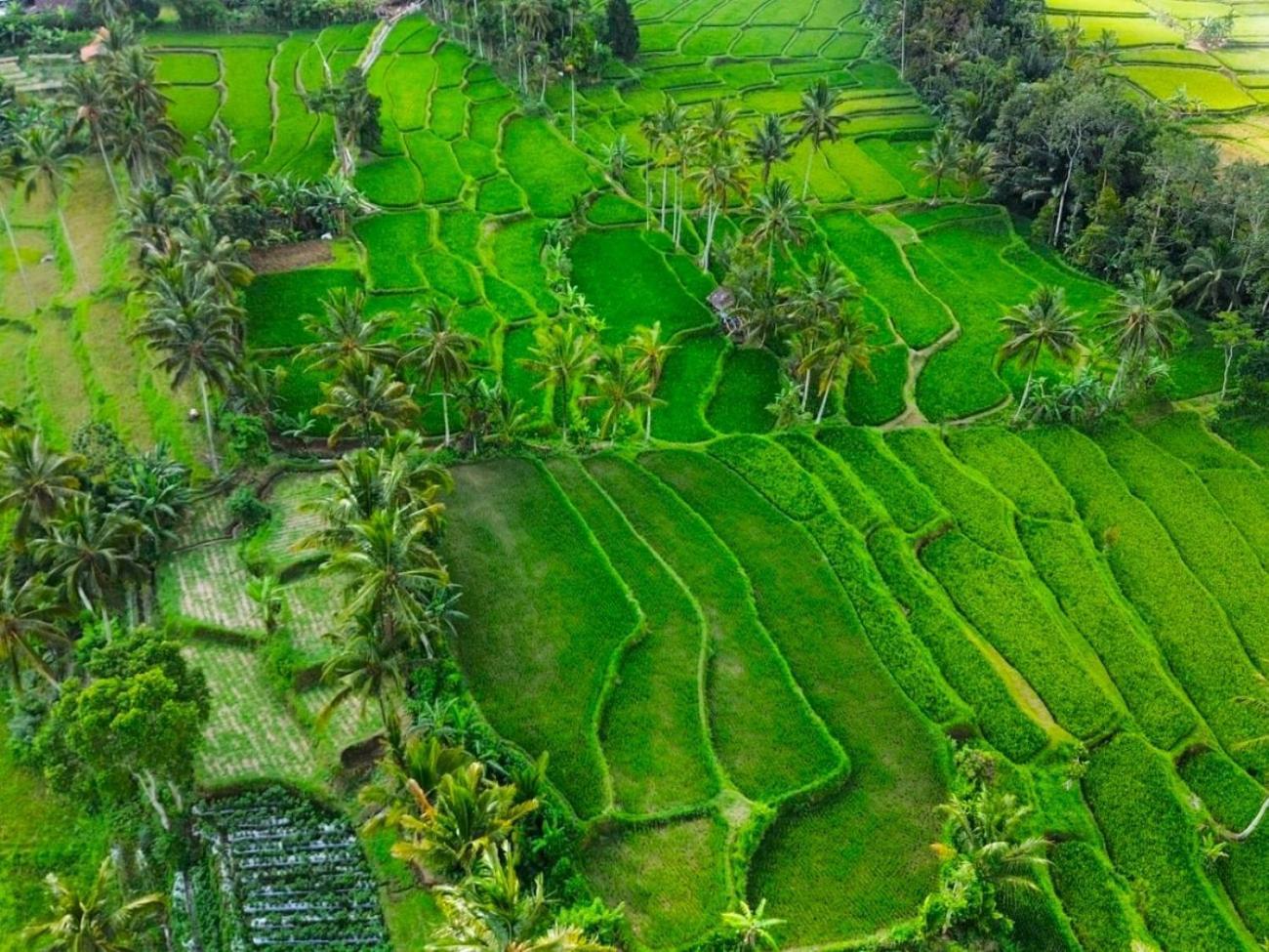 Pondok Is Oke Villa Scenic View Banyuwangi  Luaran gambar