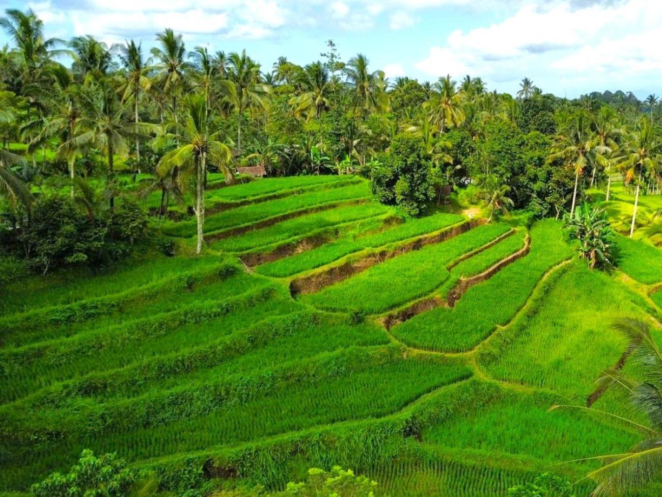 Pondok Is Oke Villa Scenic View Banyuwangi  Luaran gambar