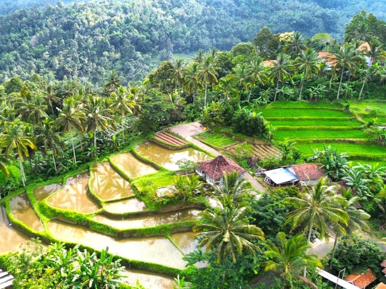 Pondok Is Oke Villa Scenic View Banyuwangi  Luaran gambar