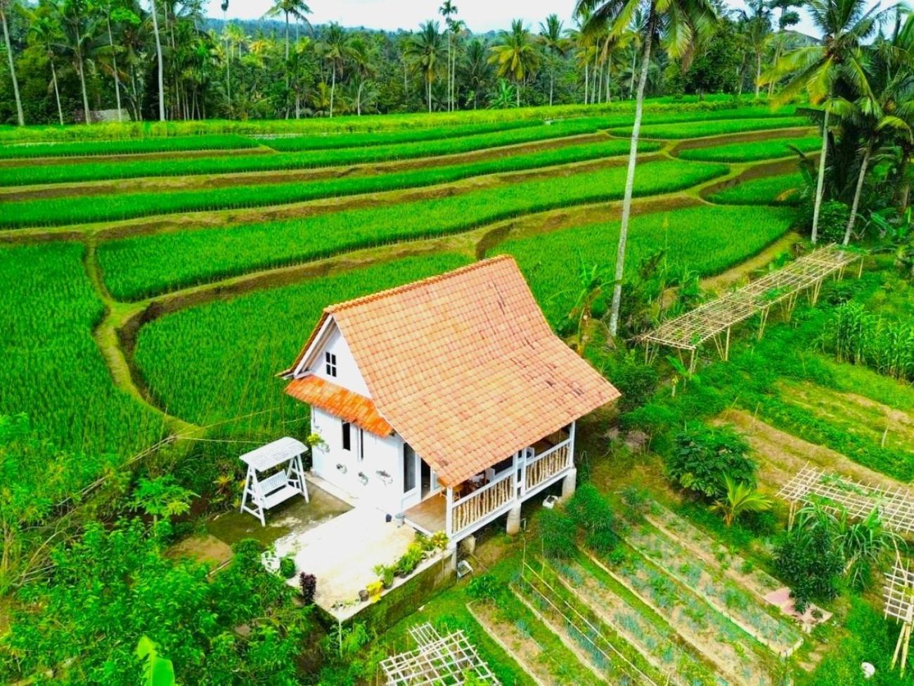 Pondok Is Oke Villa Scenic View Banyuwangi  Luaran gambar